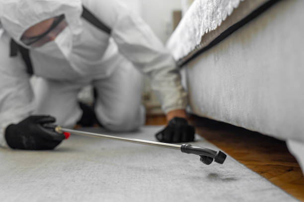 Professional Termite Control technician working in Prairie Ridge, WA