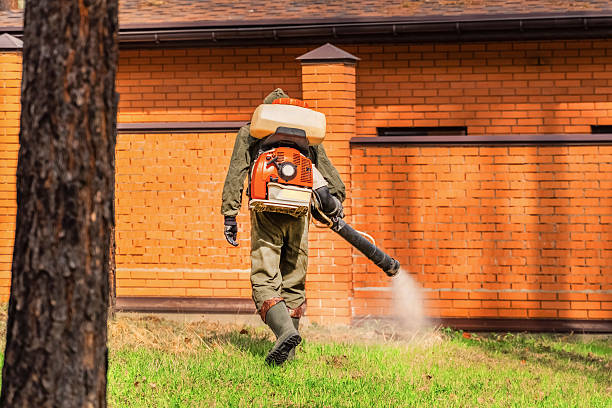 Trusted Ant Control service in Prairie Ridge, WA - Nex Pest Control
